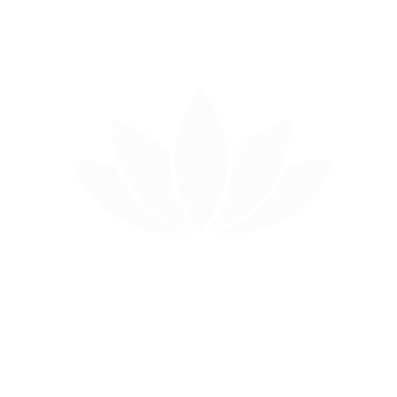 Mendip Vale Medical group 